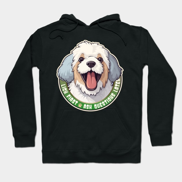 Funny Lick First, Ask Questions Later Barbet Dog Design Hoodie by DanielLiamGill